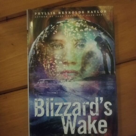 Blizzards Wake and Breathe My Name - Young Adult Books - Picture 3 of 6